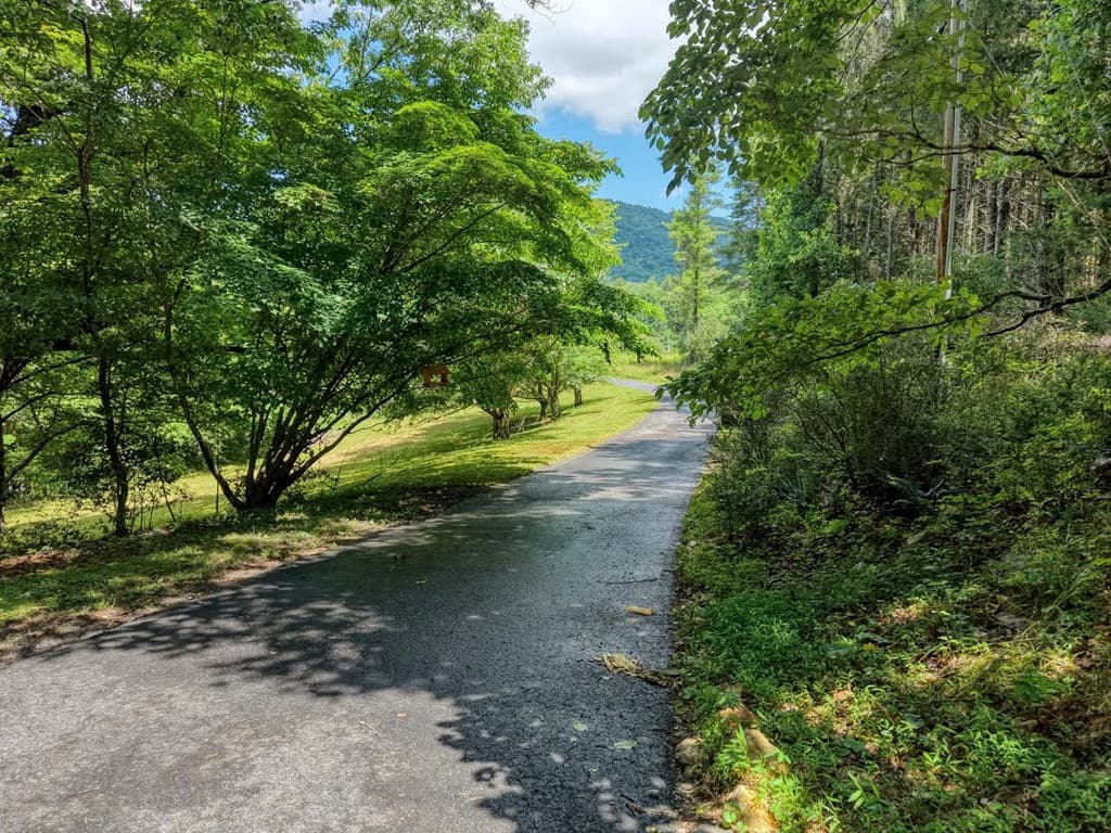 9258 Hwy 60, Suches GA 30572 - Photo