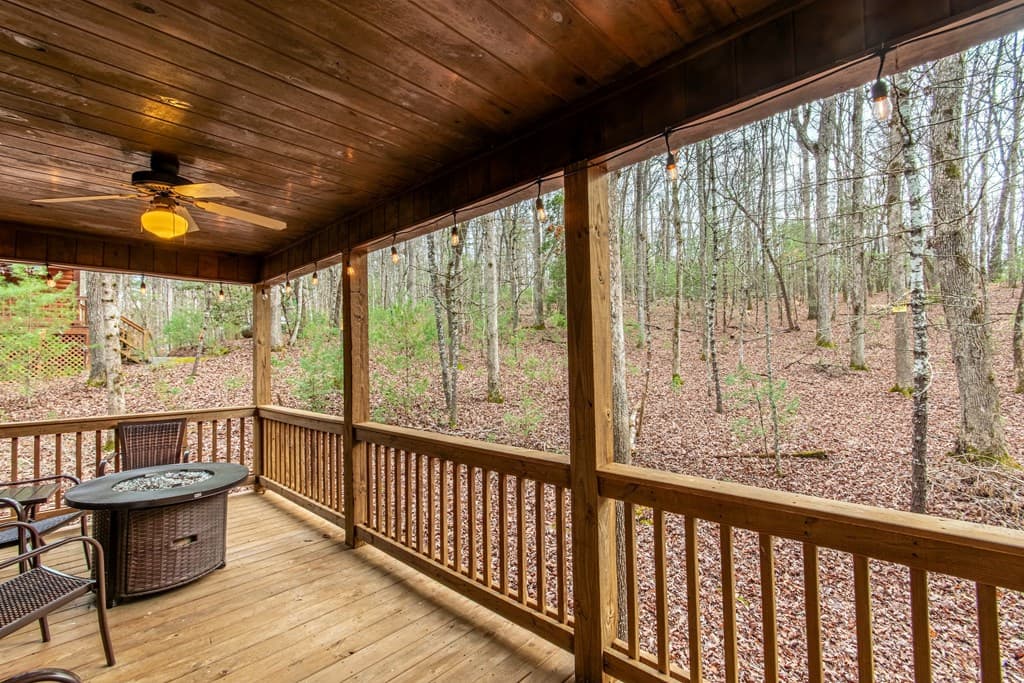 850 Mountain Lake Circle, Blue Ridge GA 30513 - Photo