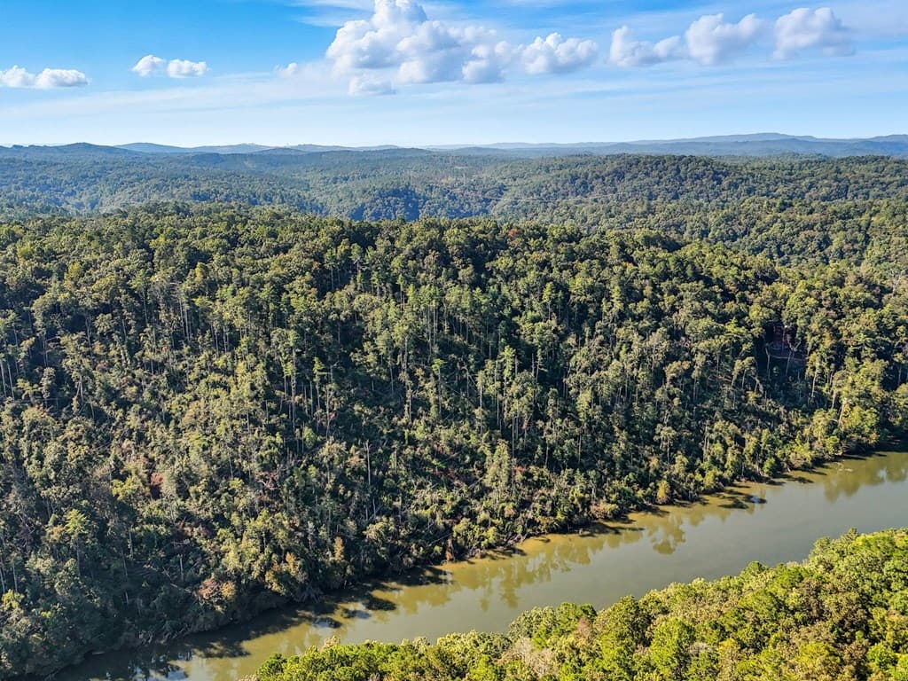 650 Myna Drive, Ellijay GA 30540 - Photo