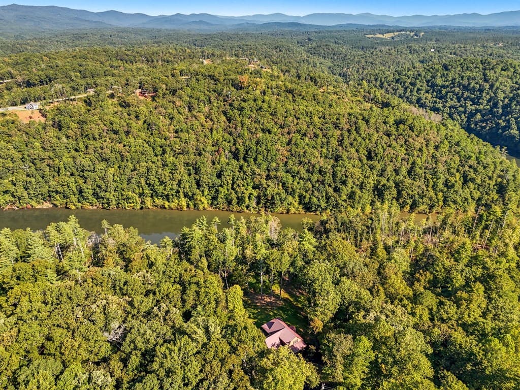 650 Myna Drive, Ellijay GA 30540 - Photo