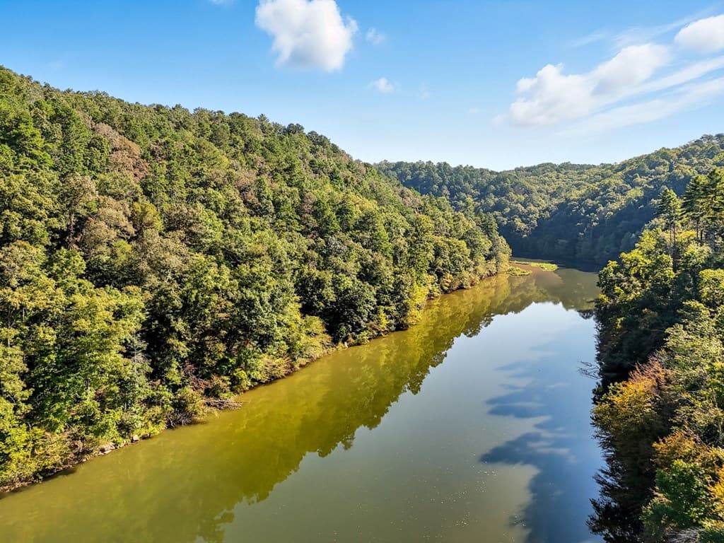650 Myna Drive, Ellijay GA 30540 - Photo