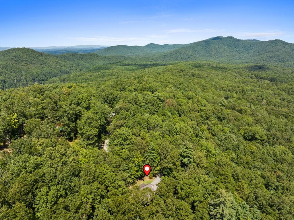 219 Ridge Top Lane, Blue Ridge GA 30513 - Photo
