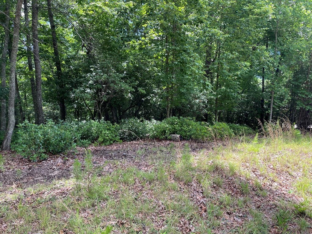 Lot 57 Asheland Overlook, Young Harris GA 30582 - Photo