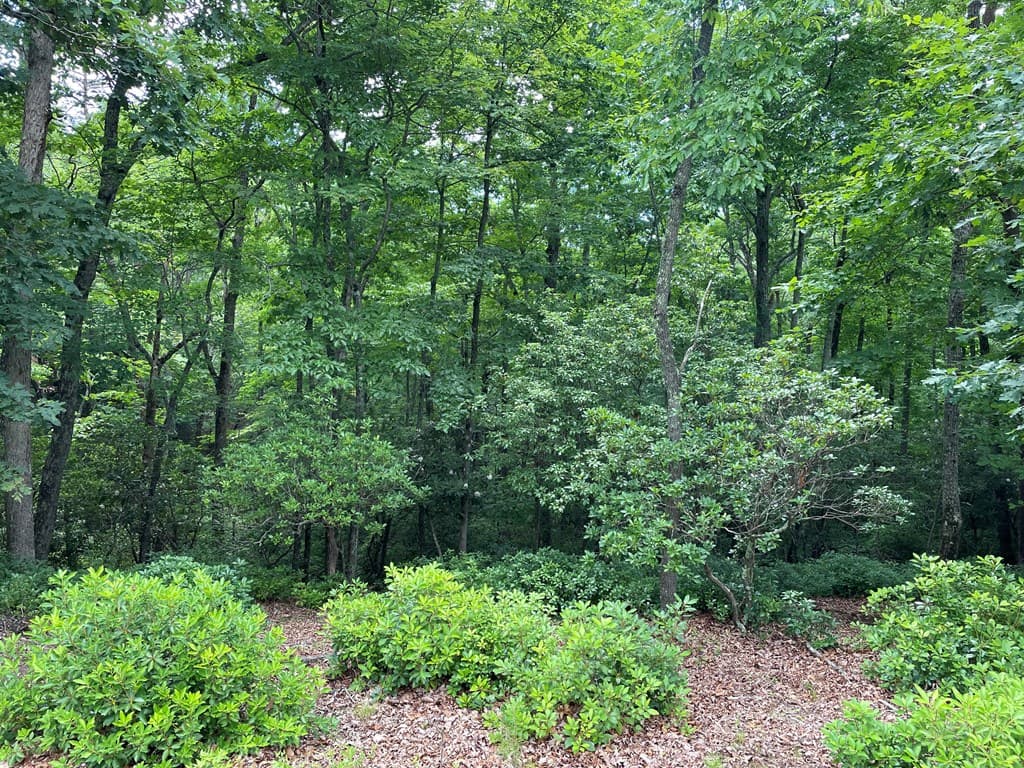Lot 57 Asheland Overlook, Young Harris GA 30582 - Photo