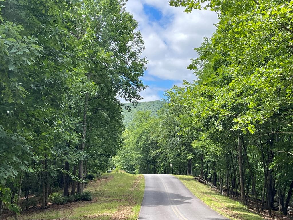 Lot 57 Asheland Overlook, Young Harris GA 30582 - Primary photo