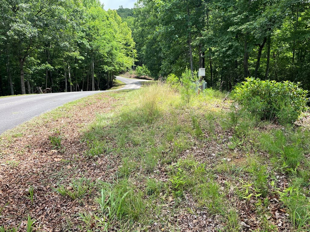 Lot 57 Asheland Overlook, Young Harris GA 30582 - Photo