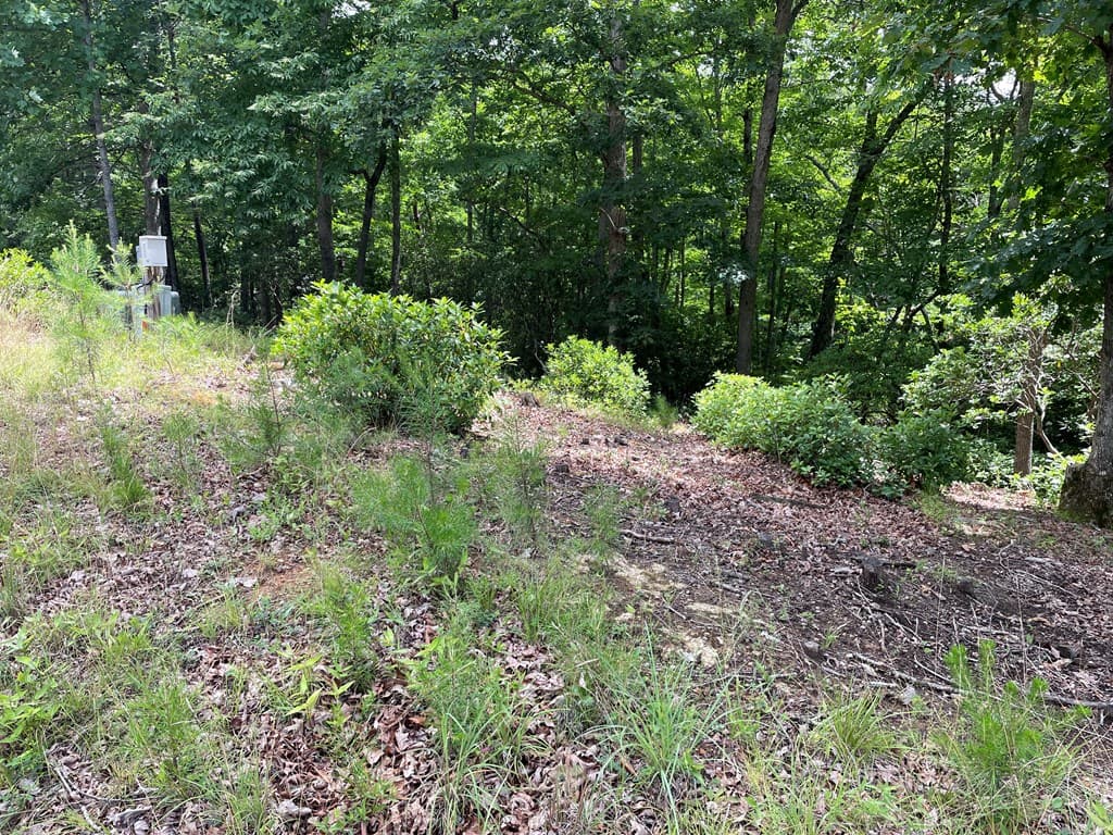 Lot 57 Asheland Overlook, Young Harris GA 30582 - Photo