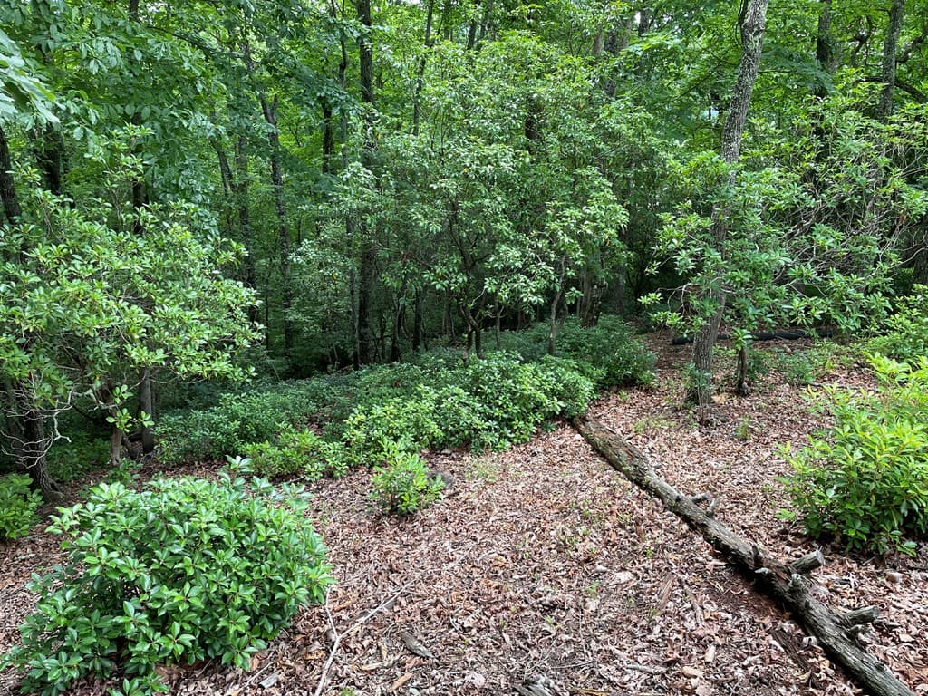 Lot 57 Asheland Overlook, Young Harris GA 30582 - Photo