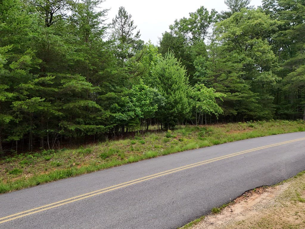 Lot 3 Cook Henry Road, Blairsville GA 30512 - Photo