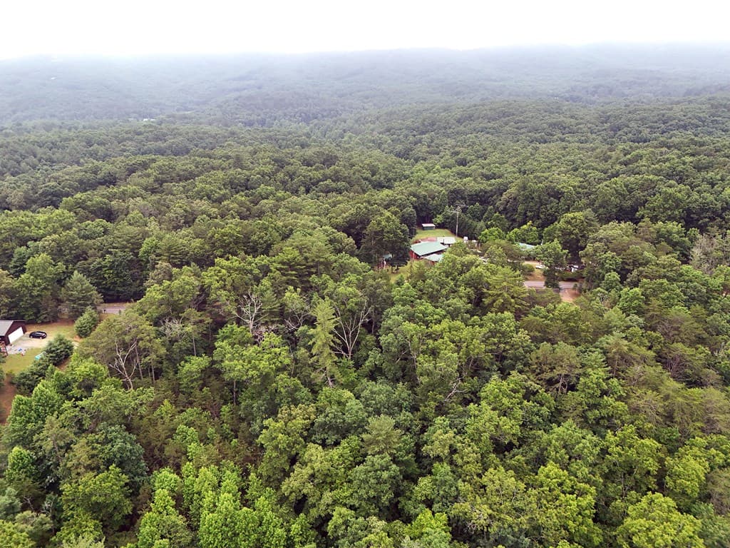 Lot 3 Cook Henry Road, Blairsville GA 30512 - Photo