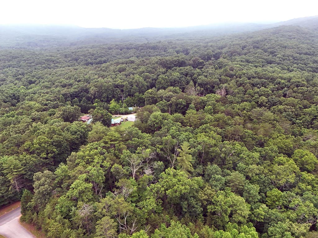 Lot 3 Cook Henry Road, Blairsville GA 30512 - Photo