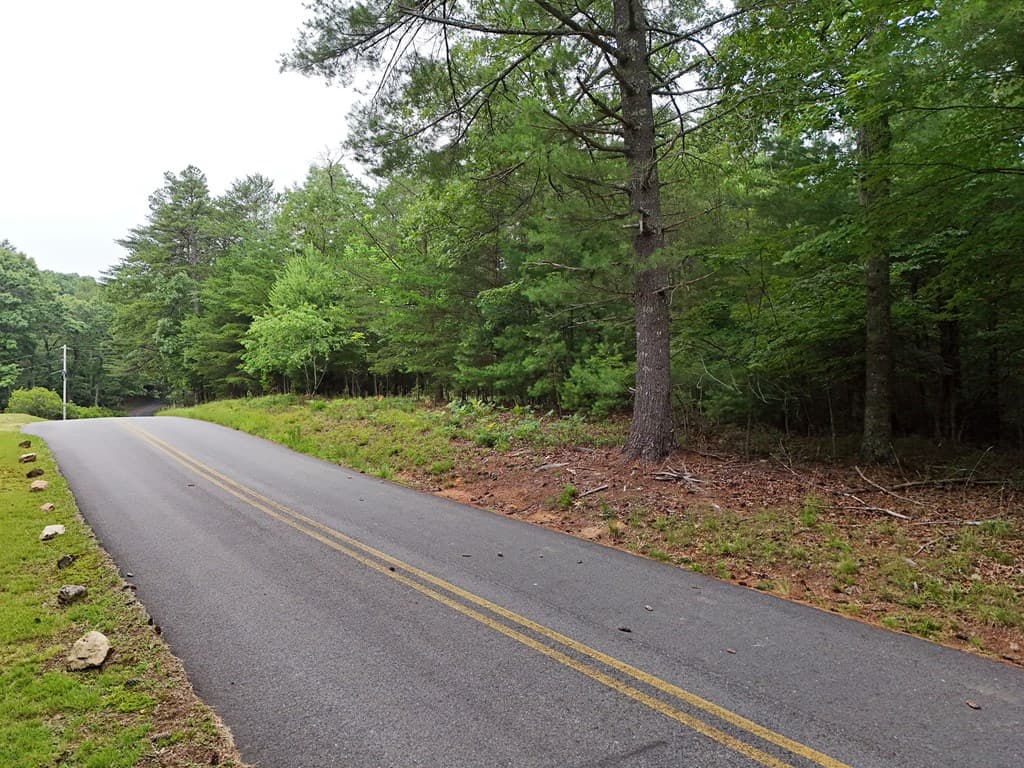 Lot 3 Cook Henry Road, Blairsville GA 30512 - Photo