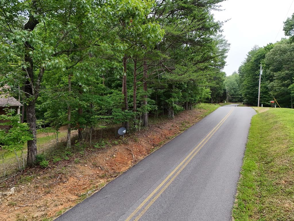 Lot 3 Cook Henry Road, Blairsville GA 30512 - Primary photo