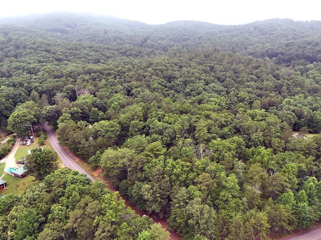 Lot 3 Cook Henry Road, Blairsville GA 30512 - Photo
