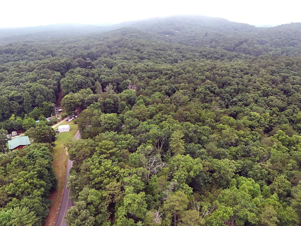 Lot 3 Cook Henry Road, Blairsville GA 30512 - Photo