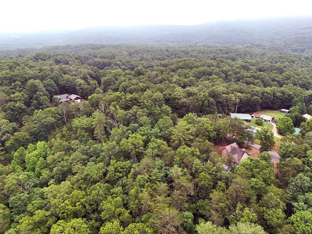Lot 3 Cook Henry Road, Blairsville GA 30512 - Photo