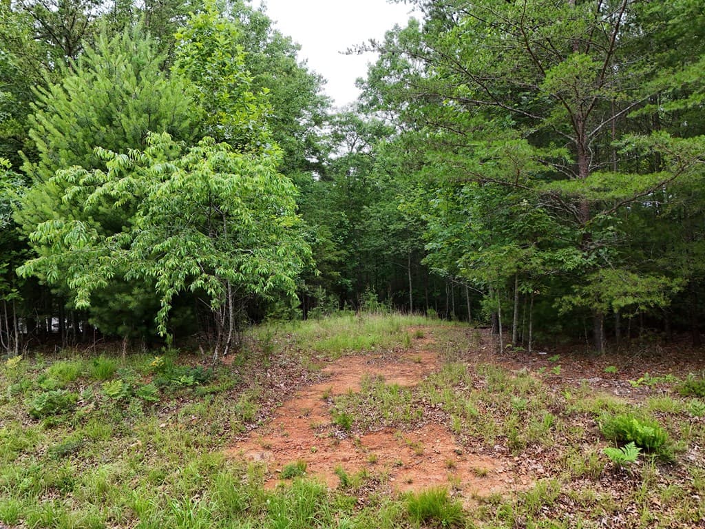 Lot 3 Cook Henry Road, Blairsville GA 30512 - Photo