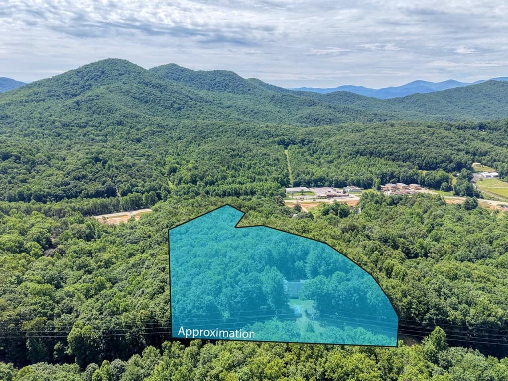 343 Haines Mountain Road, Blairsville GA 30512 - Photo