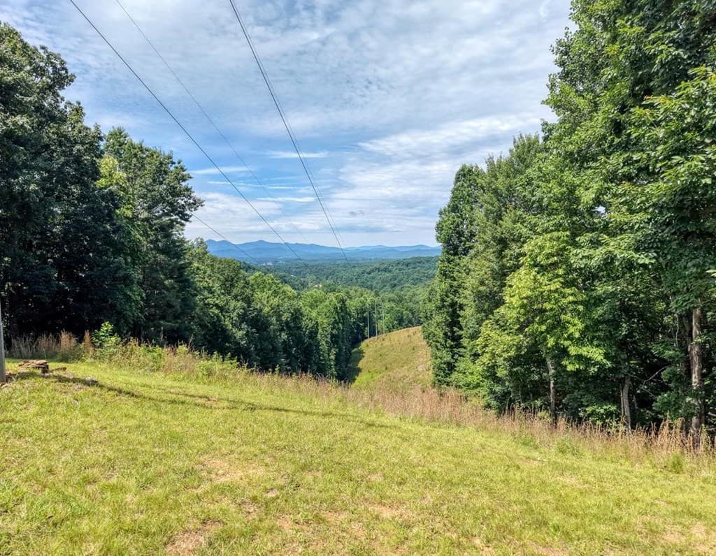 343 Haines Mountain Road, Blairsville GA 30512 - Photo