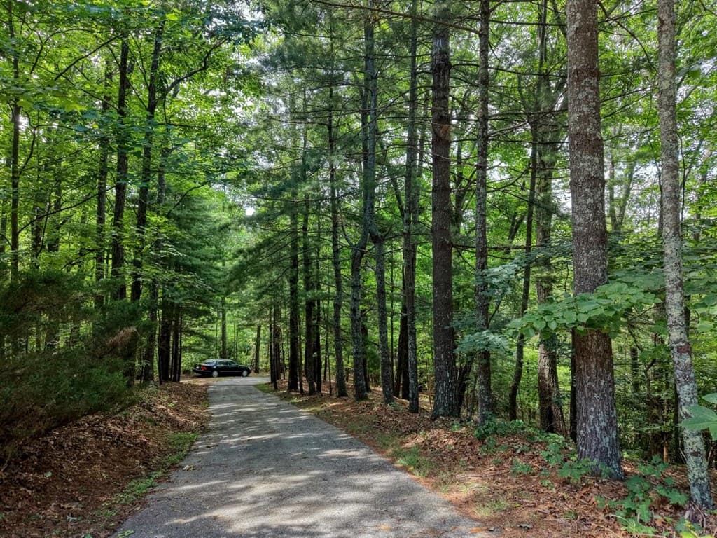 343 Haines Mountain Road, Blairsville GA 30512 - Photo