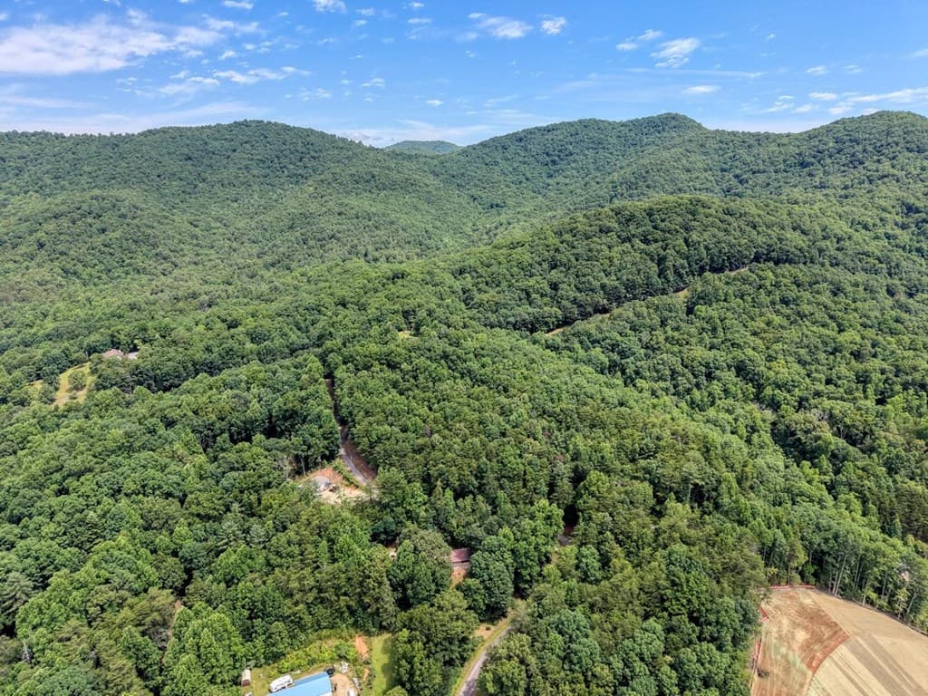 343 Haines Mountain Road, Blairsville GA 30512 - Photo