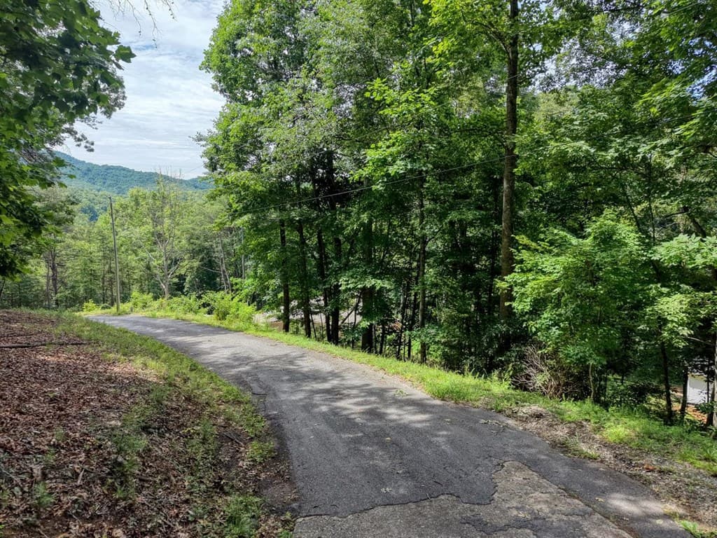 343 Haines Mountain Road, Blairsville GA 30512 - Photo