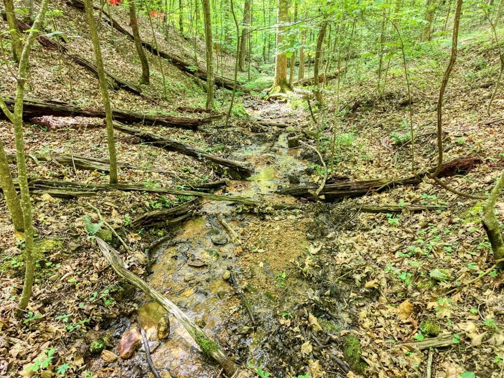 343 Haines Mountain Road, Blairsville GA 30512 - Photo