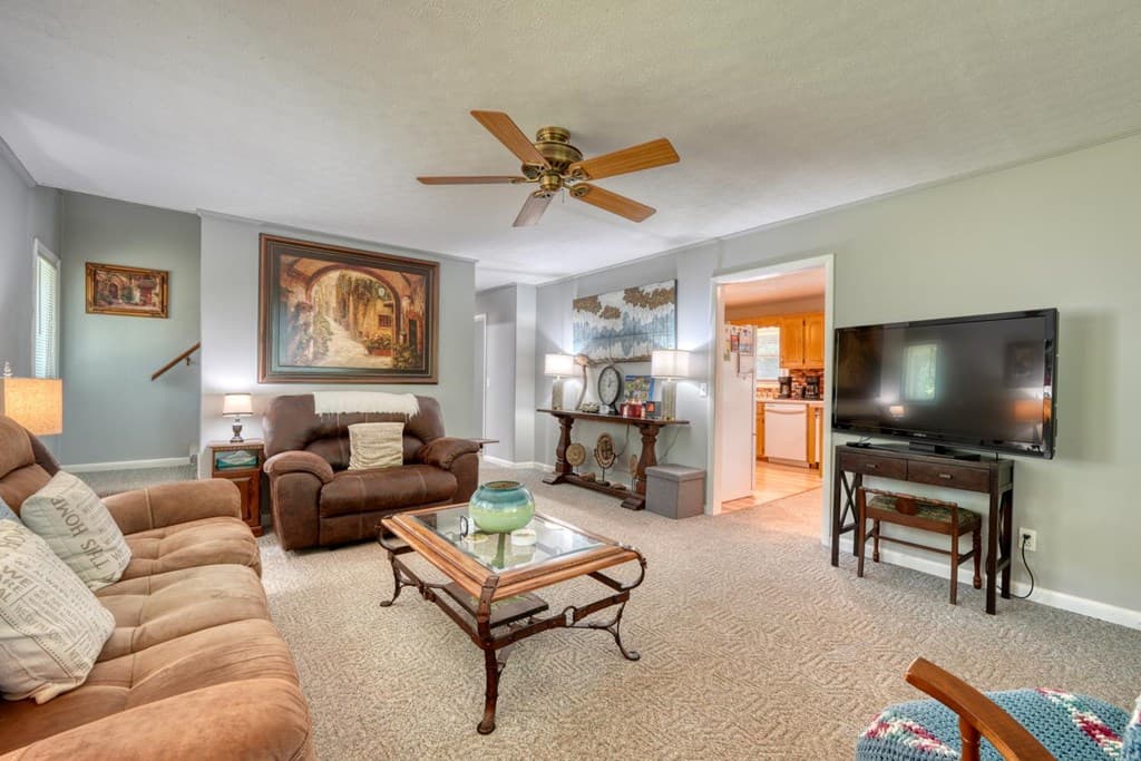 343 Haines Mountain Road, Blairsville GA 30512 - Photo