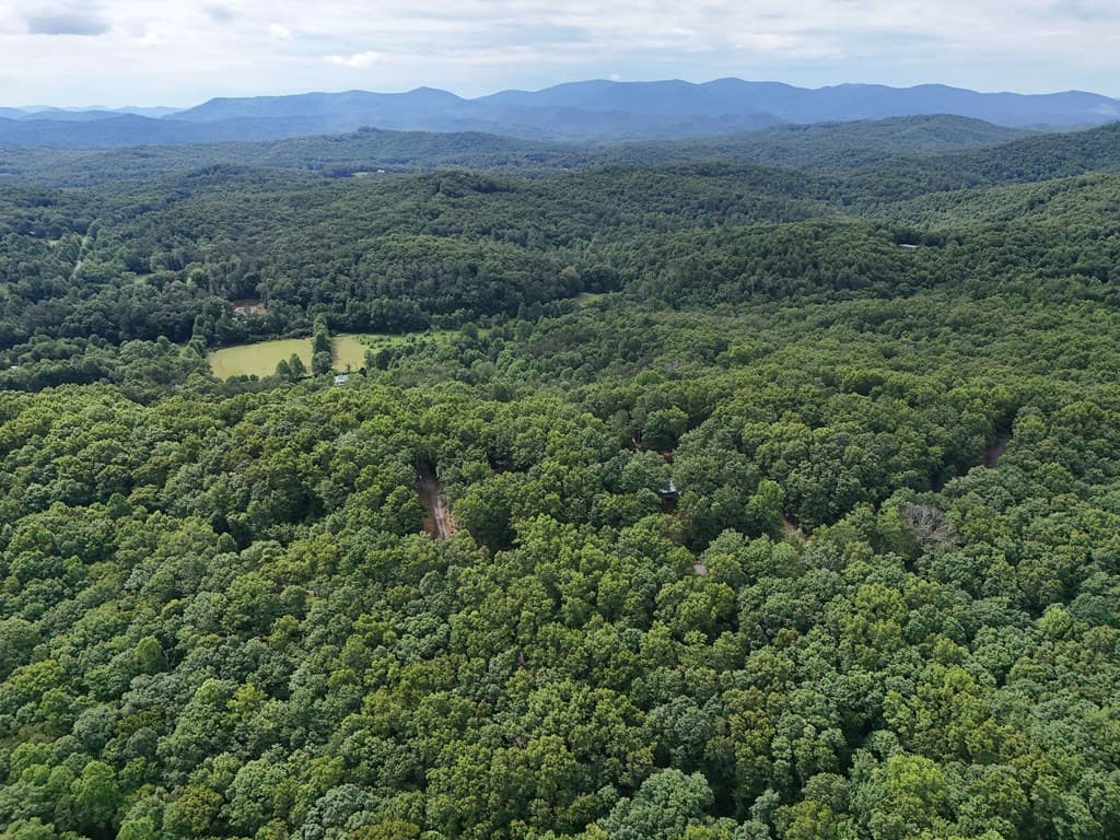Lot 131 Laurel Crossing, Blue Ridge GA 30513 - Photo