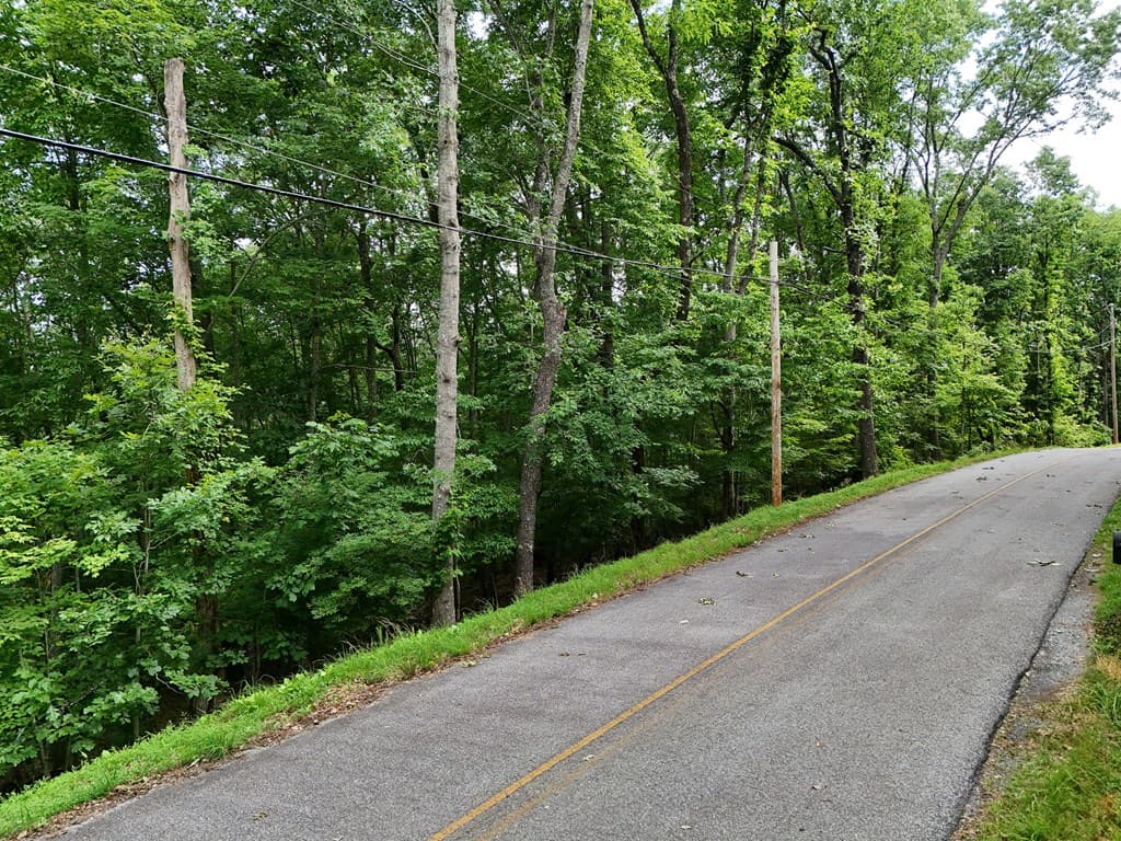 Lot 131 Laurel Crossing, Blue Ridge GA 30513 - Photo