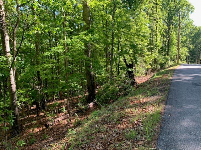 Lot 131 Laurel Crossing, Blue Ridge GA 30513 - Photo
