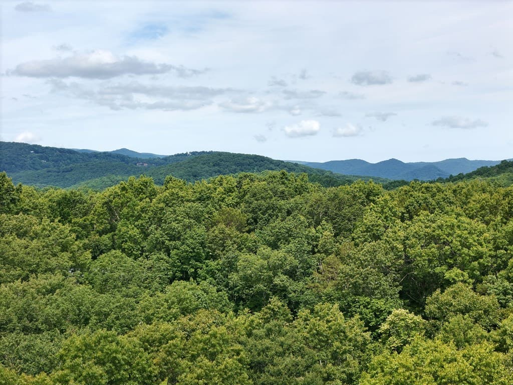 Lot 131 Laurel Crossing, Blue Ridge GA 30513 - Photo