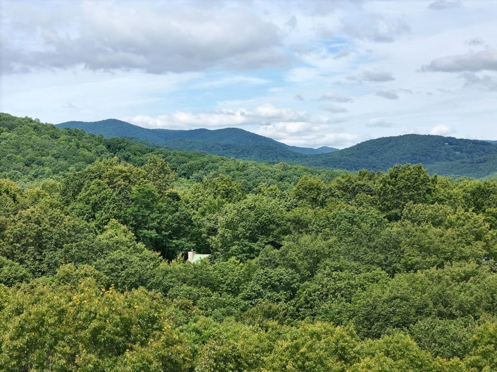 Lot 131 Laurel Crossing, Blue Ridge GA 30513 - Photo