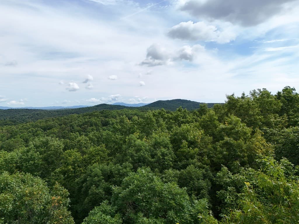 Lot 131 Laurel Crossing, Blue Ridge GA 30513 - Photo