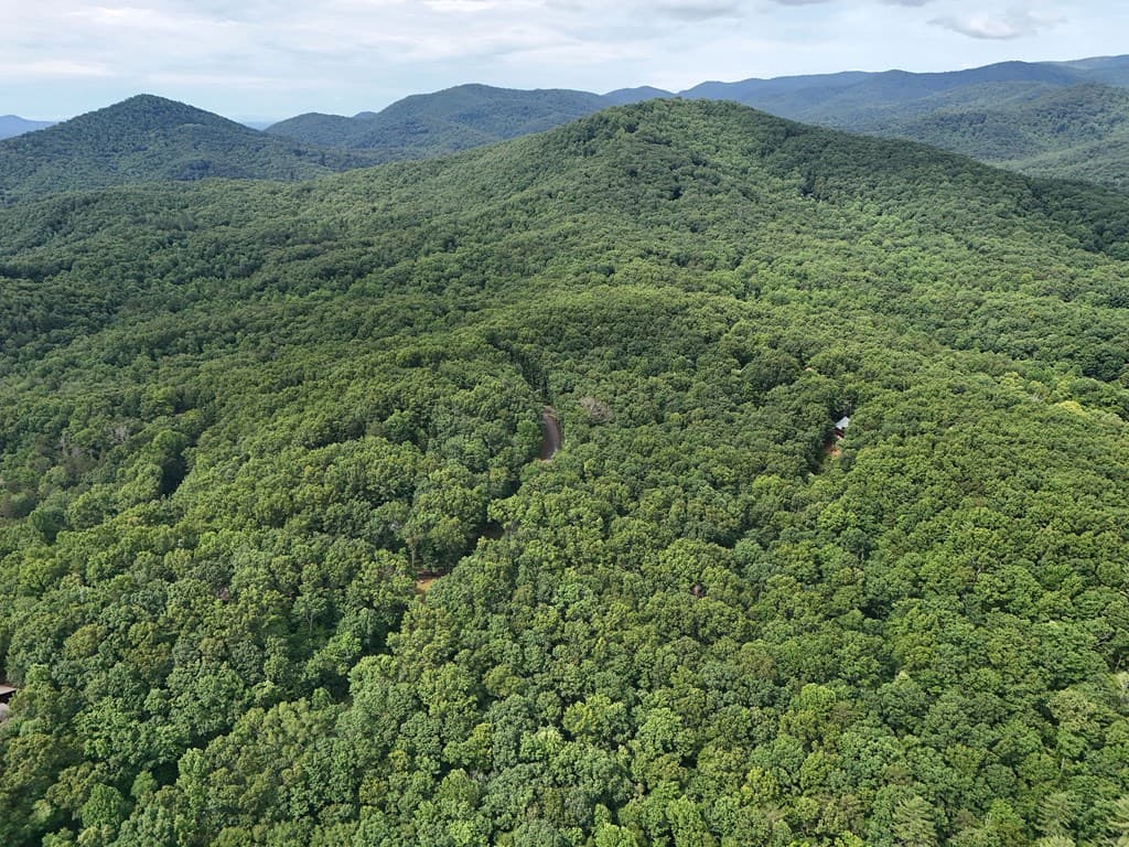 Lot 131 Laurel Crossing, Blue Ridge GA 30513 - Photo