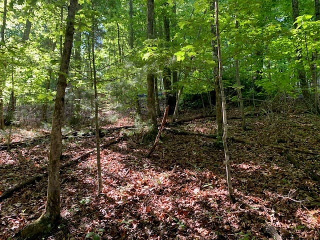 Lot 131 Laurel Crossing, Blue Ridge GA 30513 - Photo