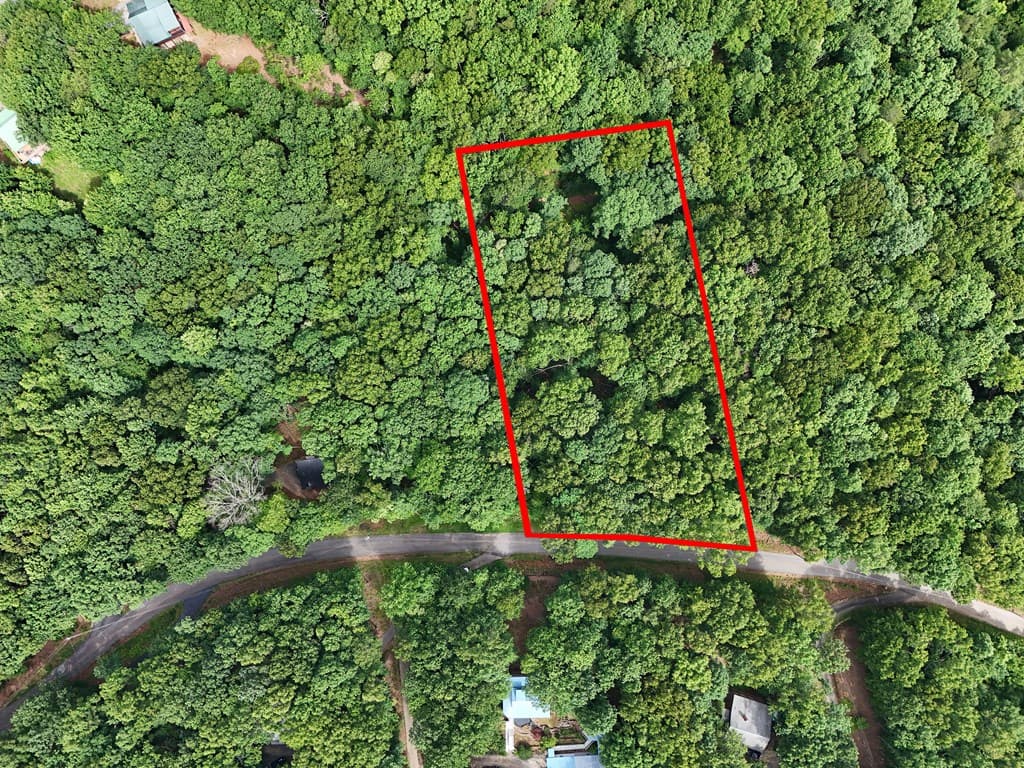 Lot 131 Laurel Crossing, Blue Ridge GA 30513 - Photo