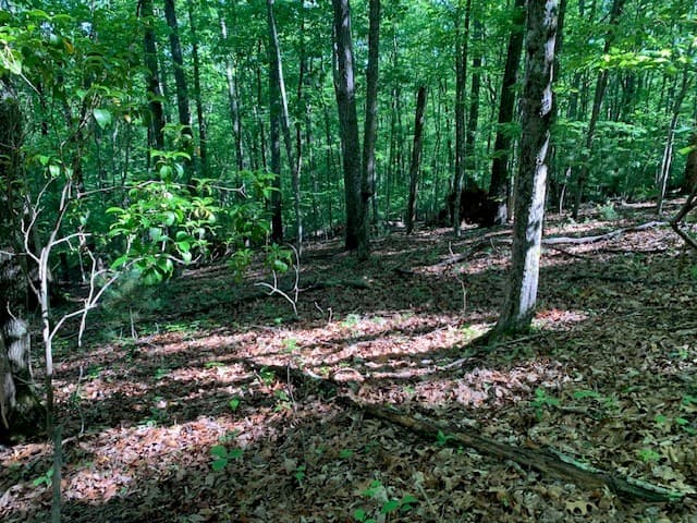 Lot 131 Laurel Crossing, Blue Ridge GA 30513 - Photo