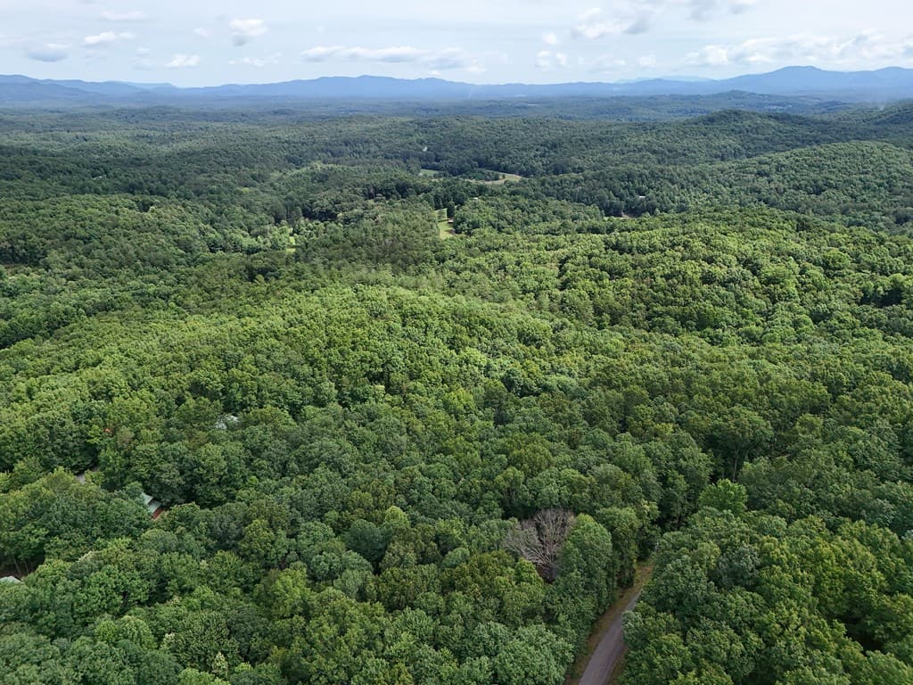 Lot 131 Laurel Crossing, Blue Ridge GA 30513 - Photo