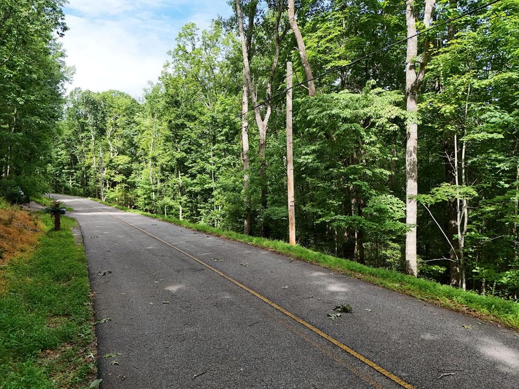 Lot 131 Laurel Crossing, Blue Ridge GA 30513 - Primary photo