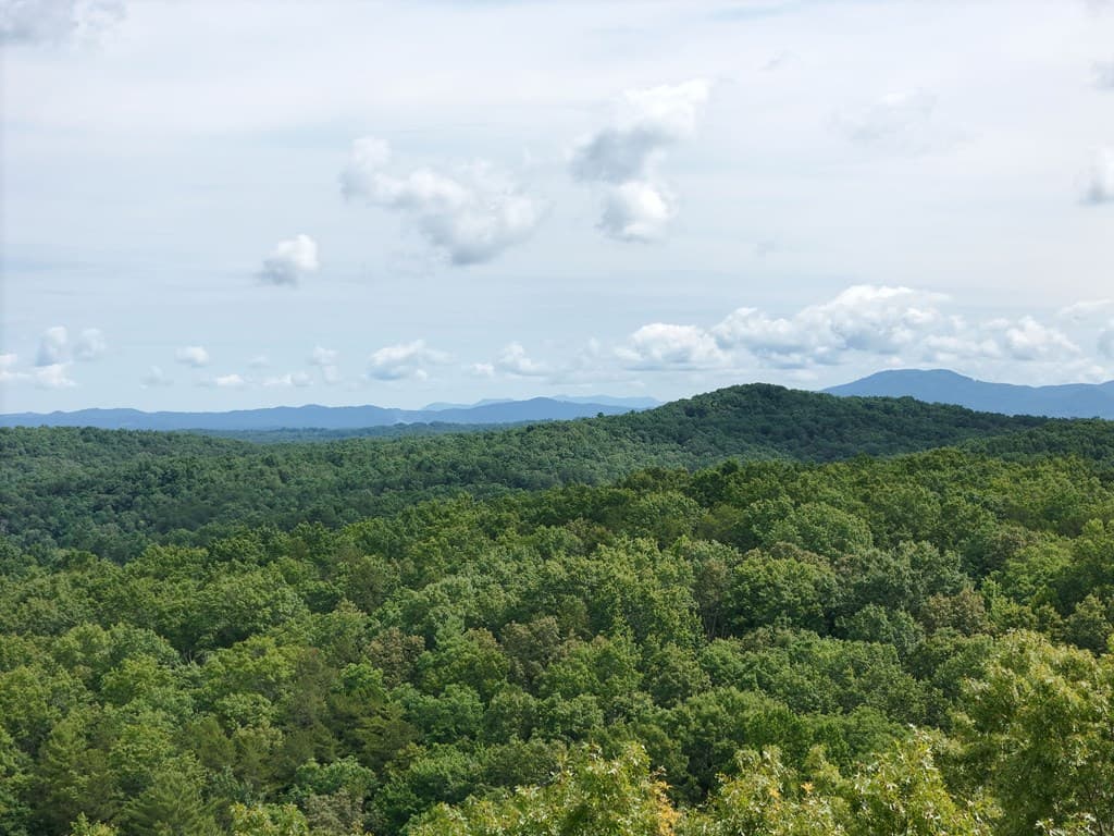 Lot 131 Laurel Crossing, Blue Ridge GA 30513 - Photo