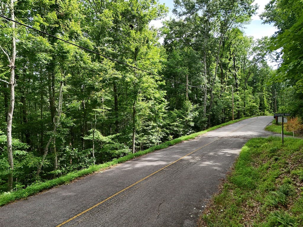 Lot 131 Laurel Crossing, Blue Ridge GA 30513 - Photo
