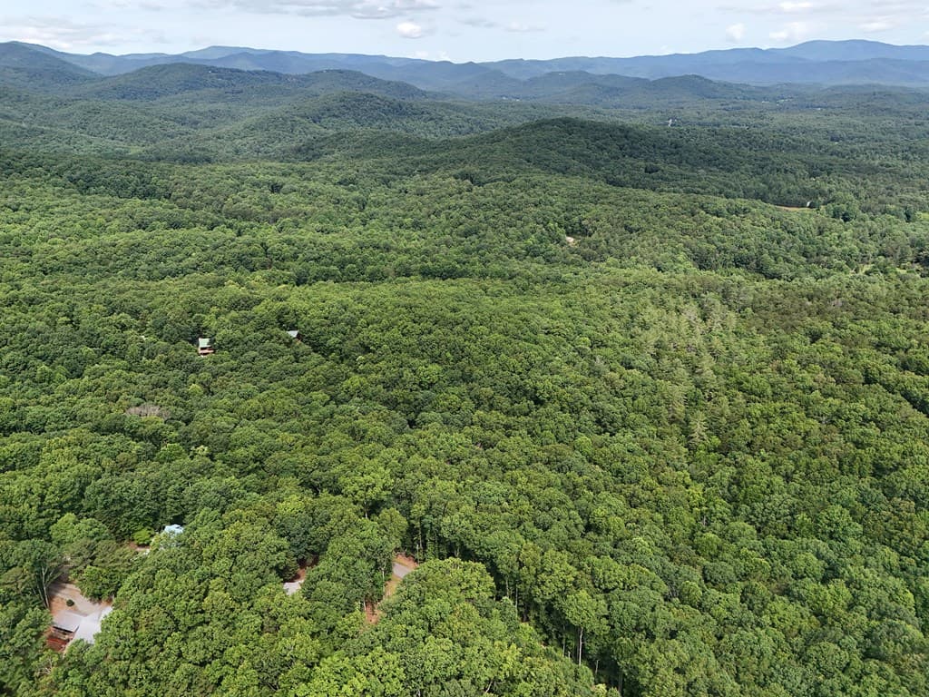 Lot 131 Laurel Crossing, Blue Ridge GA 30513 - Photo