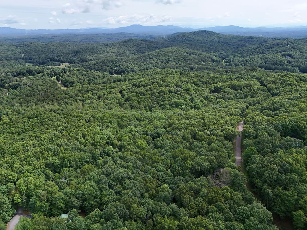 Lot 131 Laurel Crossing, Blue Ridge GA 30513 - Photo