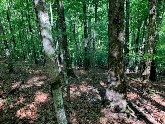 Lot 131 Laurel Crossing, Blue Ridge GA 30513 - Photo