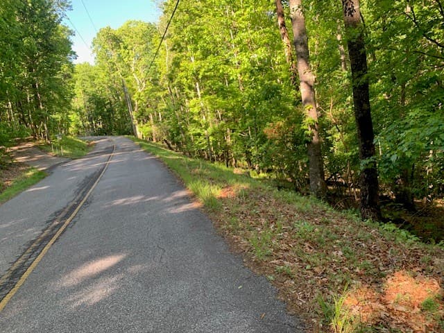 Lot 131 Laurel Crossing, Blue Ridge GA 30513 - Photo