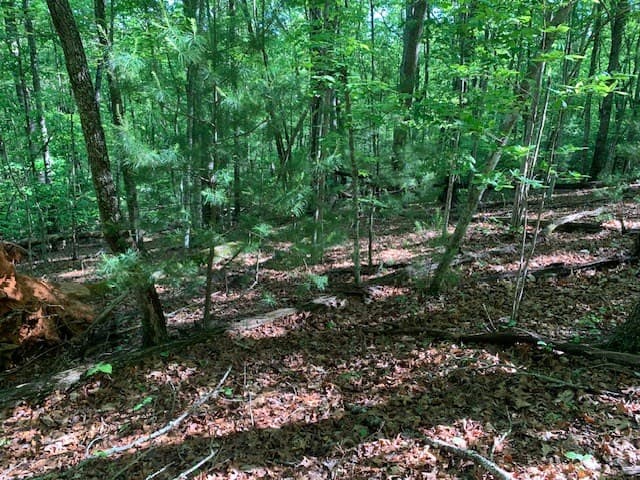 Lot 131 Laurel Crossing, Blue Ridge GA 30513 - Photo