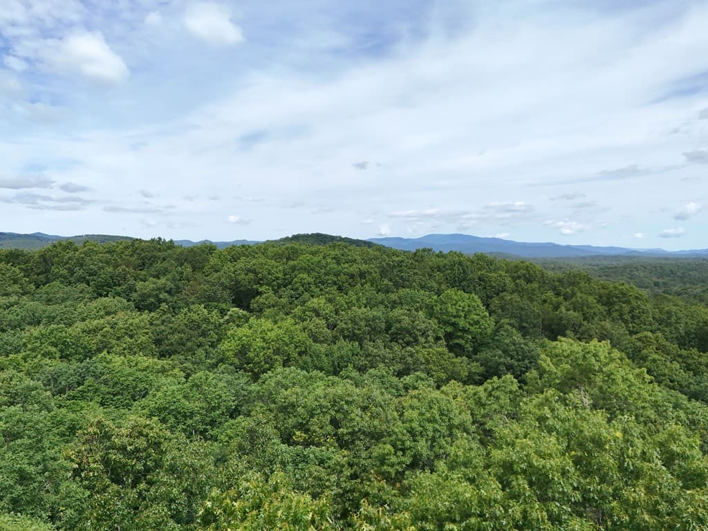 Lot 131 Laurel Crossing, Blue Ridge GA 30513 - Photo