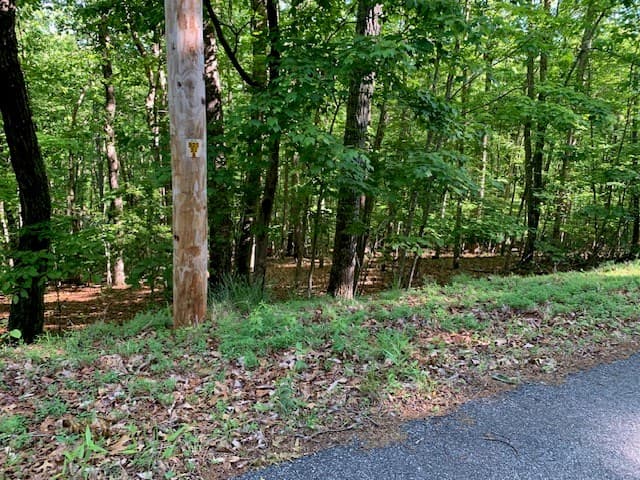 Lot 131 Laurel Crossing, Blue Ridge GA 30513 - Photo
