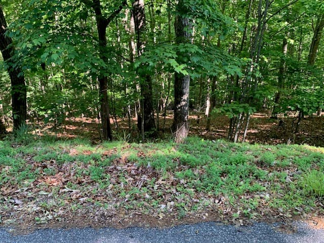 Lot 131 Laurel Crossing, Blue Ridge GA 30513 - Photo